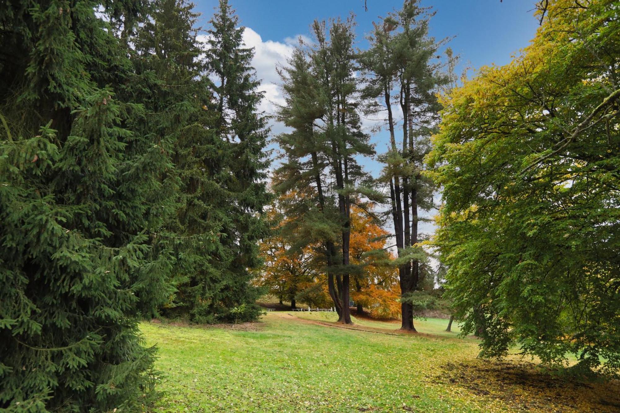 Hotel Chateau Cihelny Karlovy Vary Dış mekan fotoğraf